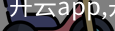 开云app
